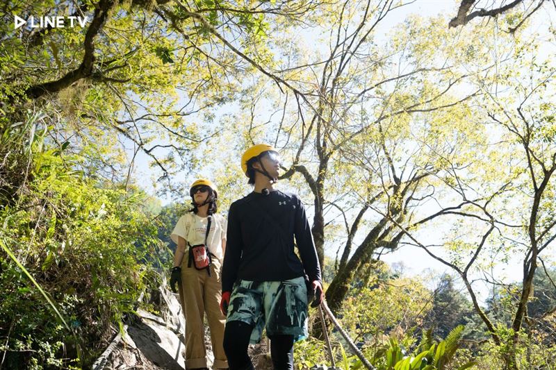 陳柏霖主持的實境節目《極島森林》,分別帶著四位好友踏上探索土地的旅程。(圖/翻攝自LINE TV)